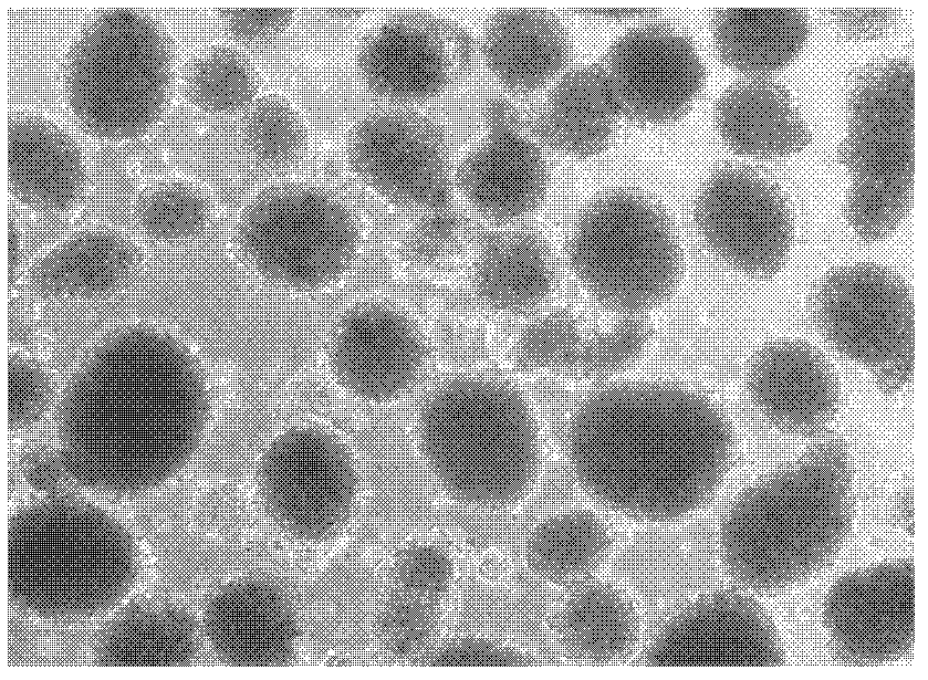 In-vitro induced pancreas-islet-like structure forming method