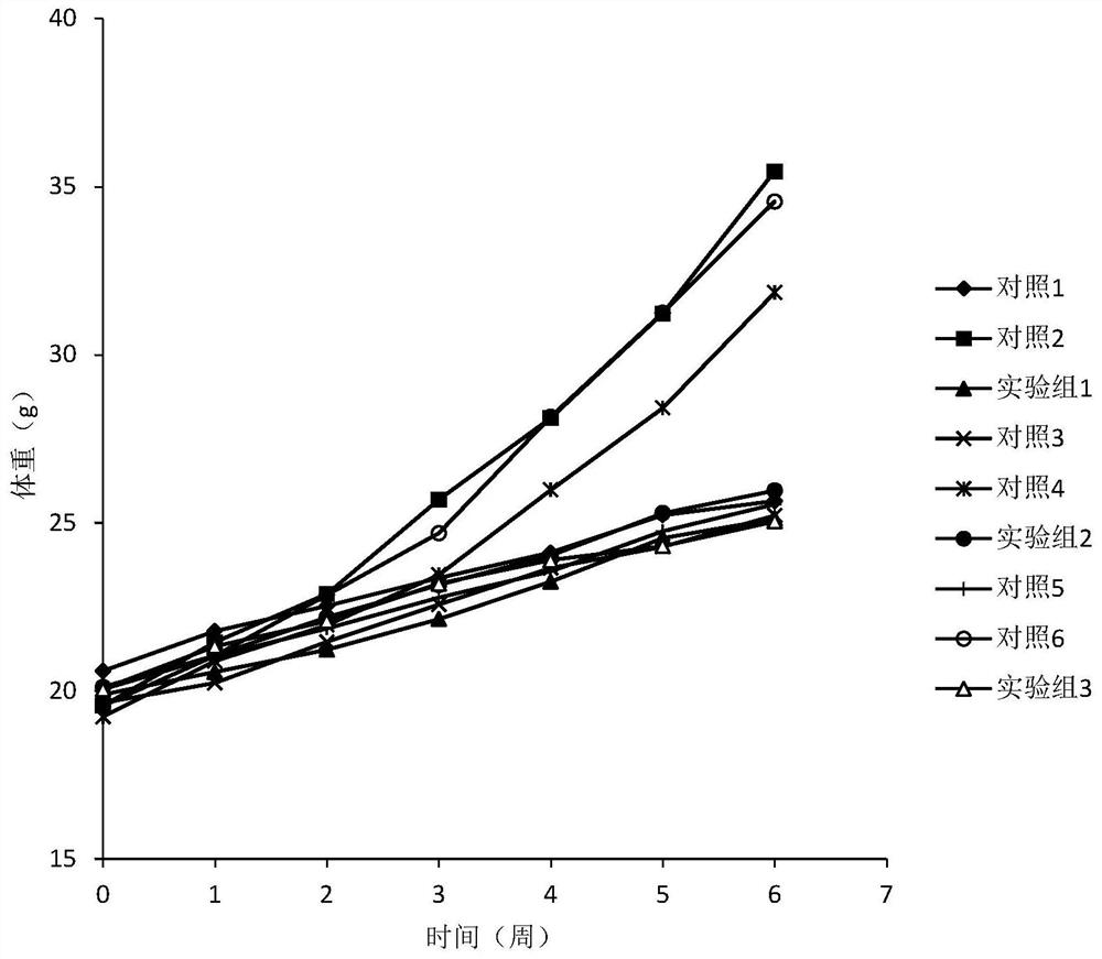 A kind of multi-effective probiotic preparation with enhanced immune function and its application