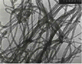 Preparation method of boron-doped p type carbon nanotube with high seebeck coefficient