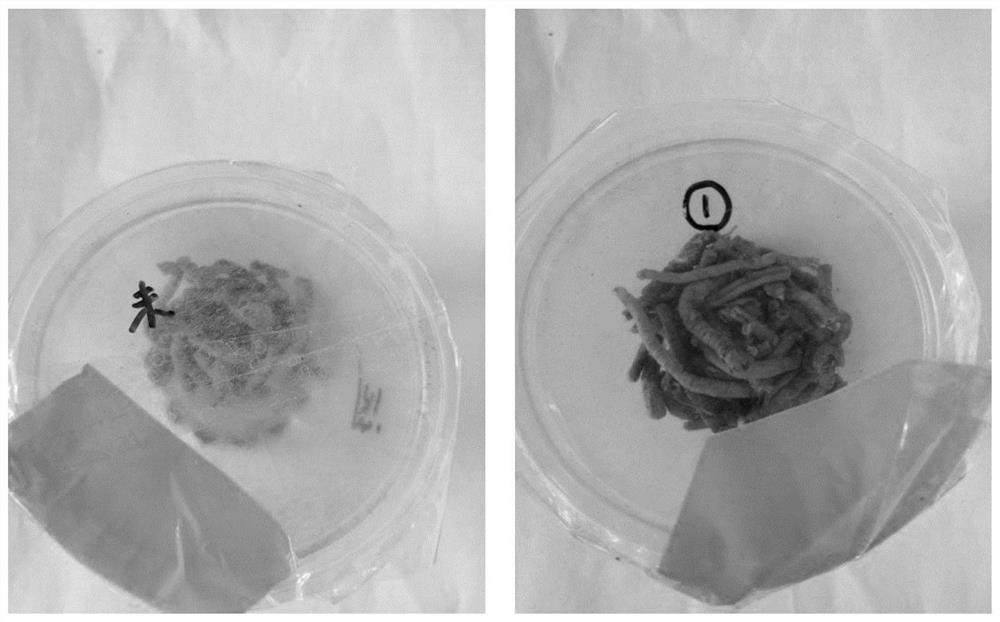 Sterilization method of Kaixin powder raw medicinal material oral powder