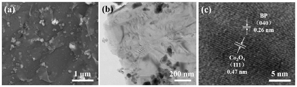 Preparation method of black phosphorus/cobalt tetroxide composite oxygen evolution electrocatalyst