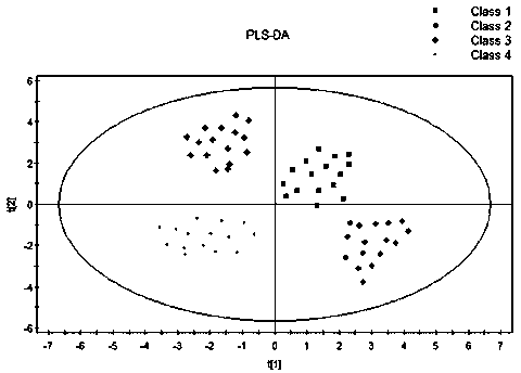 A method for identifying the origin of black tea based on chiral quantitative analysis technology