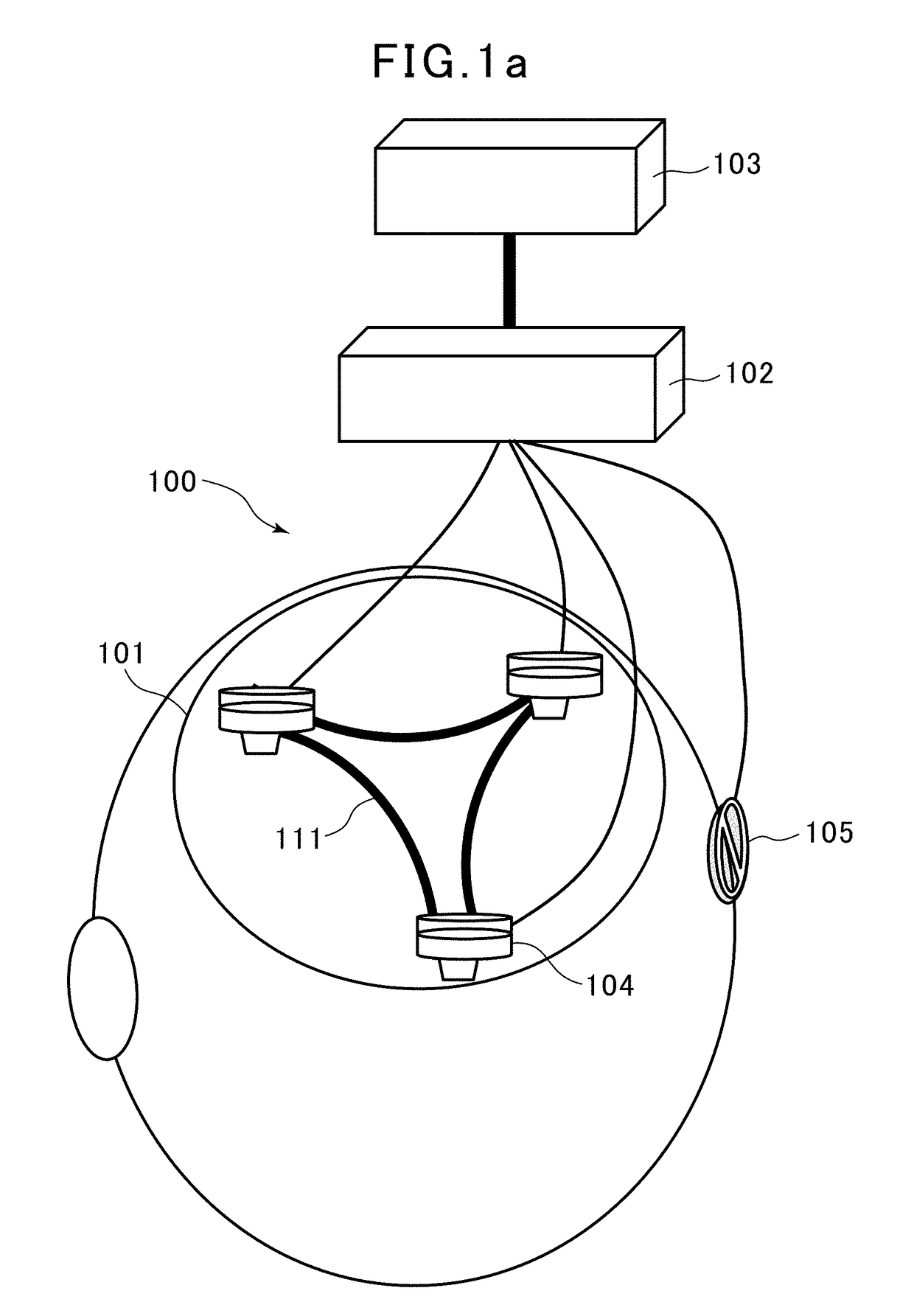 Brain activity measurement device, program, and method