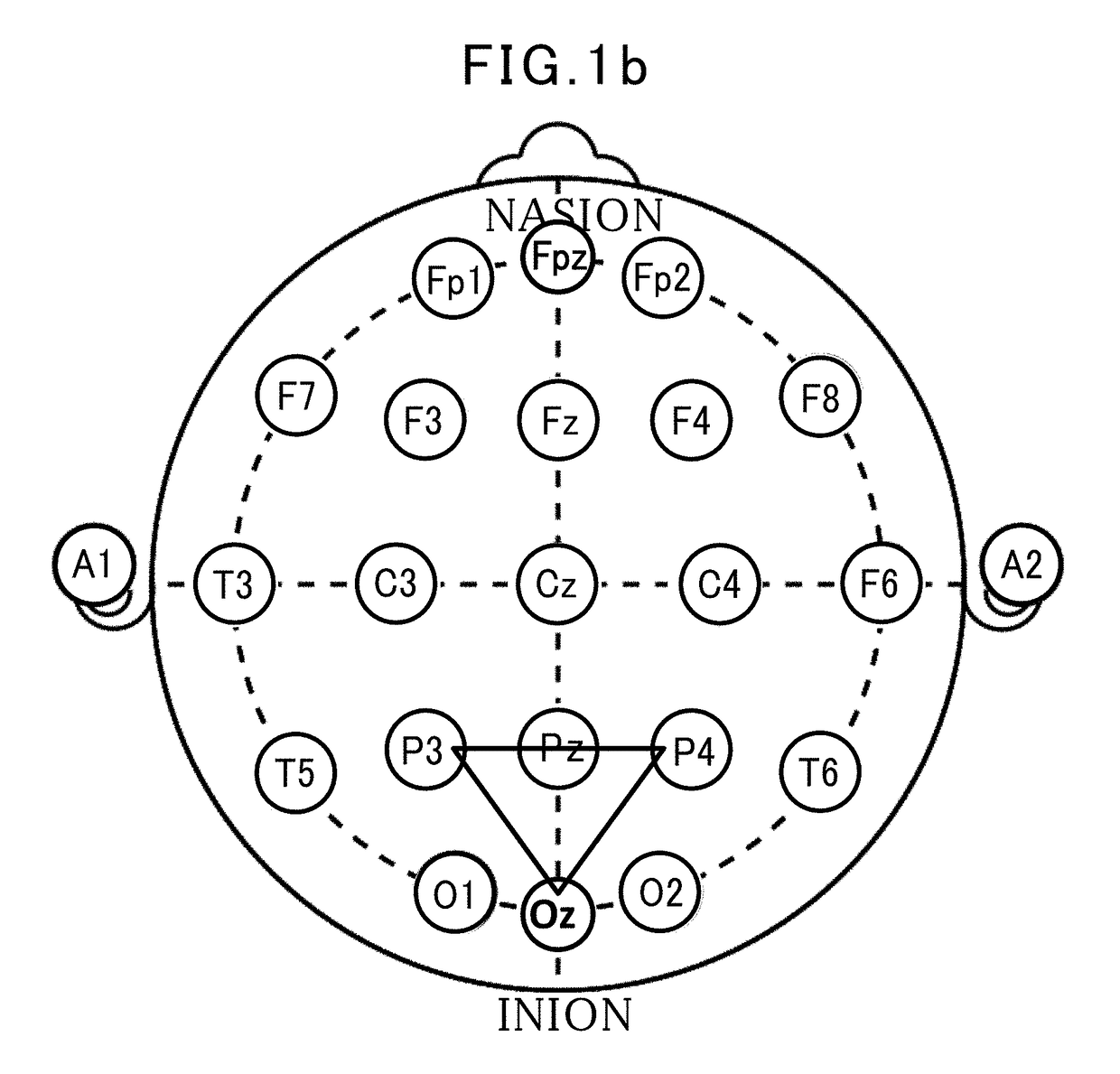 Brain activity measurement device, program, and method