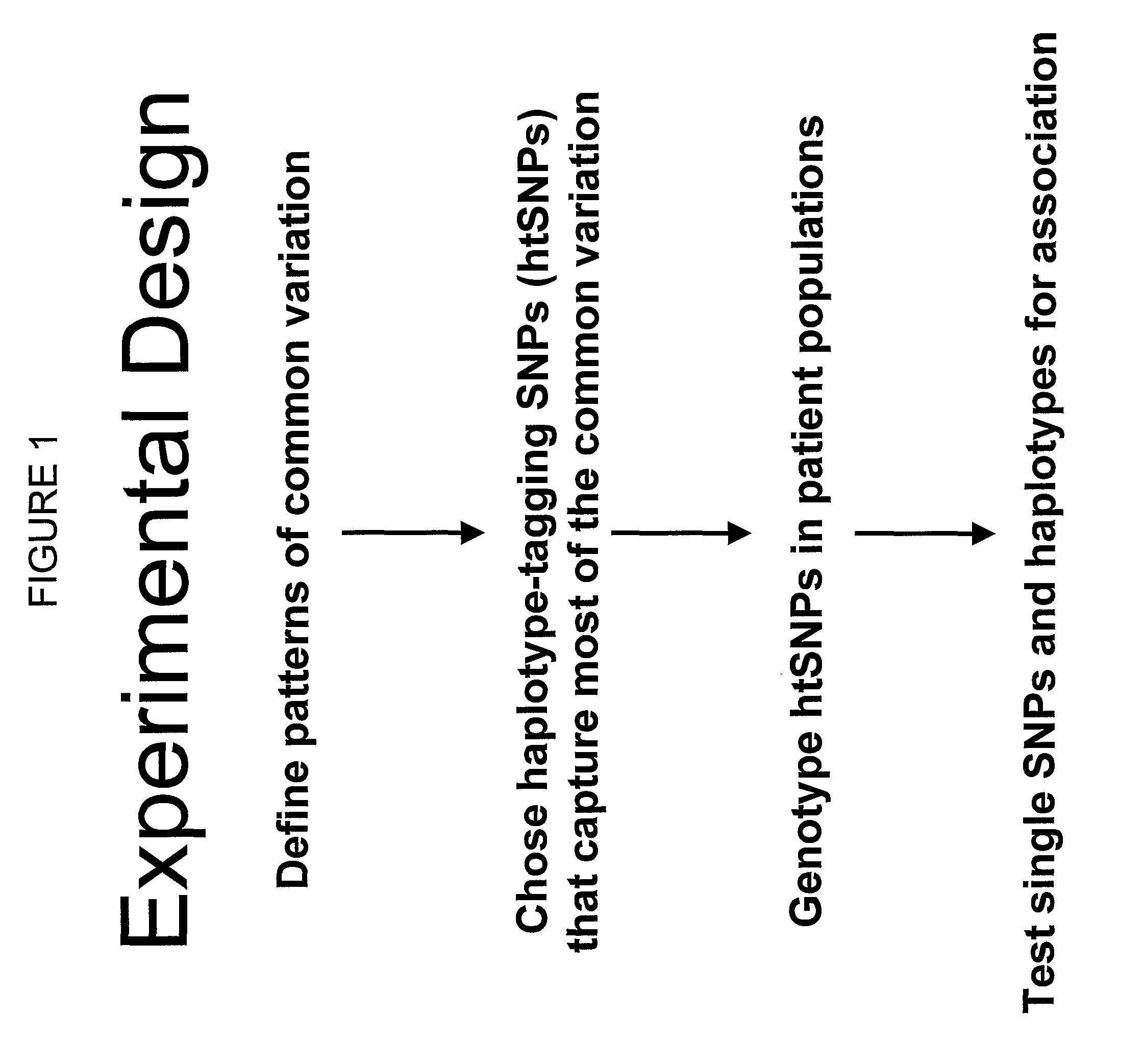 Compositions and Methods for Obesity Screening Using Polymorphisms in Npy2r