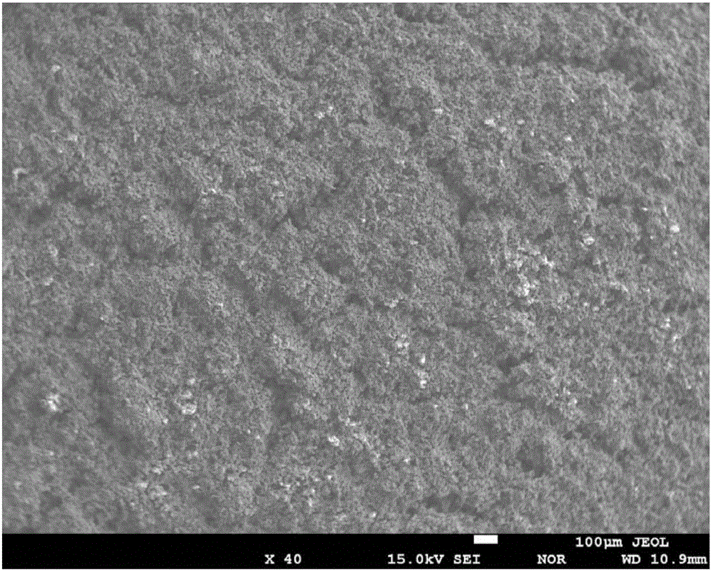 Molybdenum-alloy MoSi2-ZrO2-Y2O3 coating, preparation method therefor and application of molybdenum-alloy MoSi2-ZrO2-Y2O3 coating