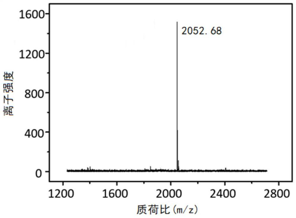 Self-assembly material capable of forming nano defense network in situ on tumor as well as preparation method and application of self-assembly material