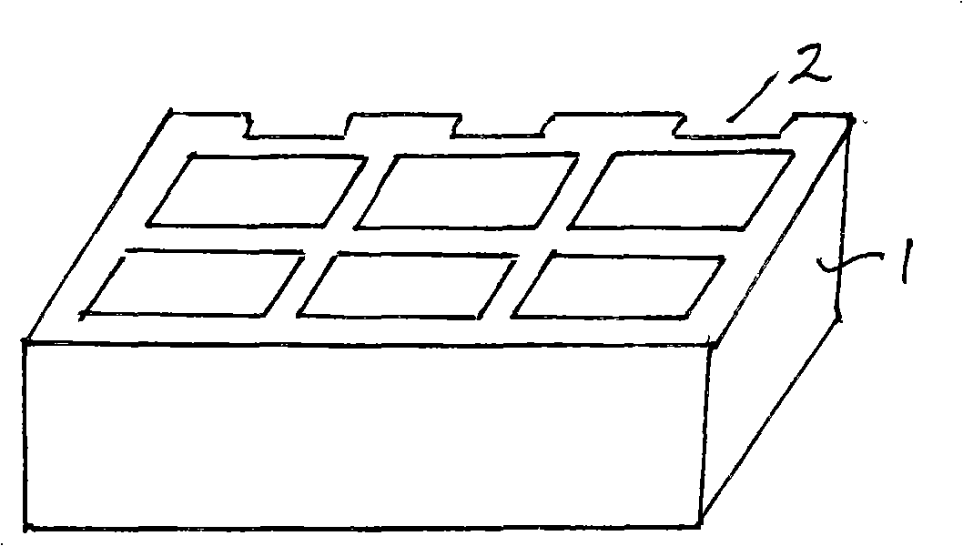 Preparation method of paraffin organization chip