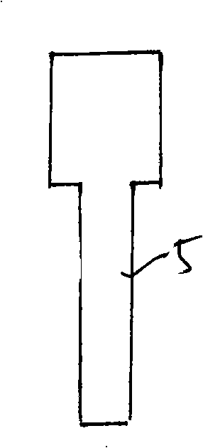 Preparation method of paraffin organization chip