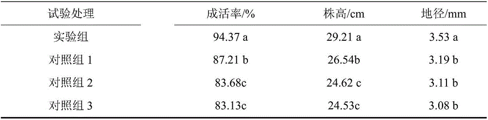 Method for rainwater collection and water retention afforestation of arid mountain bare-rooted seedlings