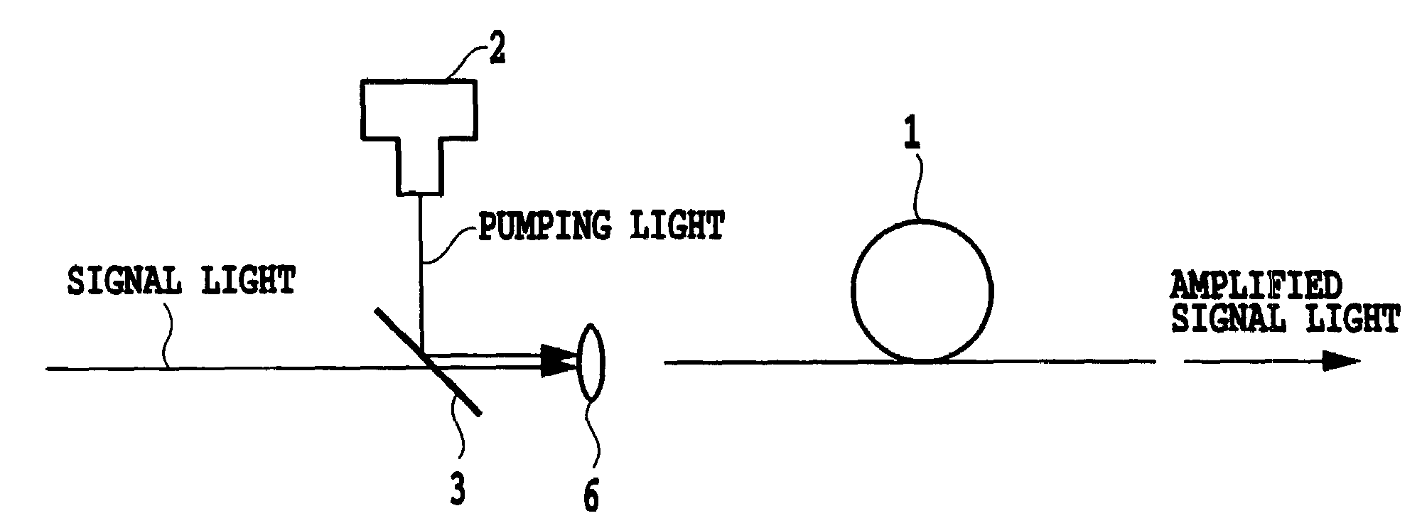 Fiber laser, spontaneous emission light source and optical fiber amplifier