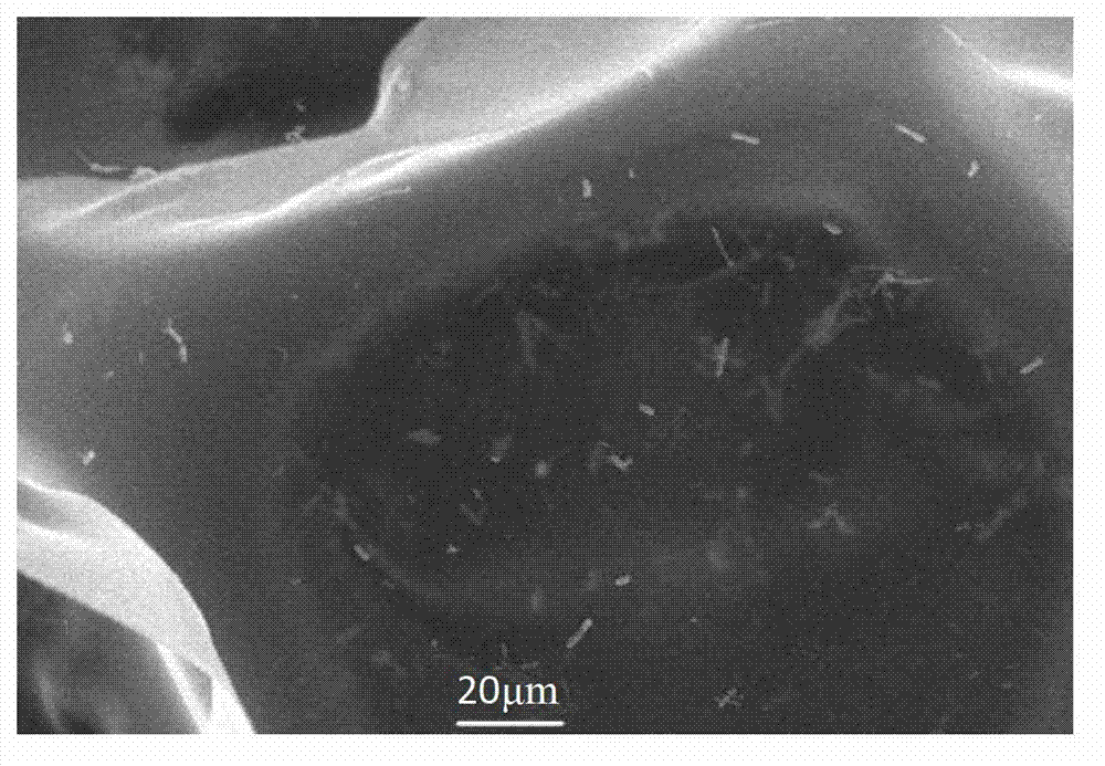 Method for fixing oil decomposing bacteria by polyurethane foam