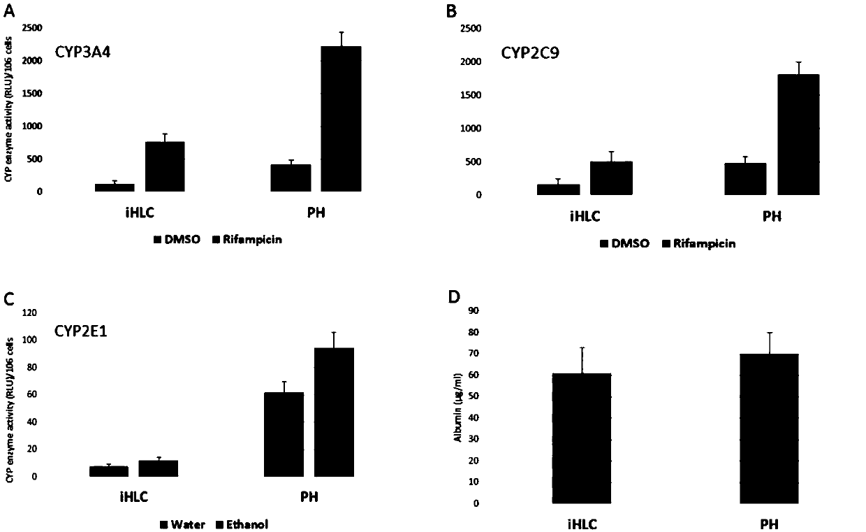 Method for improving detoxification function of hepatocyte-like cells derived from human stem cells and application of method