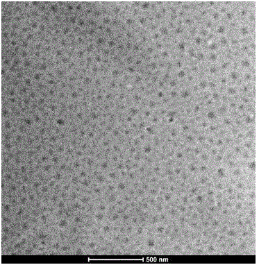 Selenium or tellurium containing polymer as well as preparation method and application of selenium or tellurium containing polymer