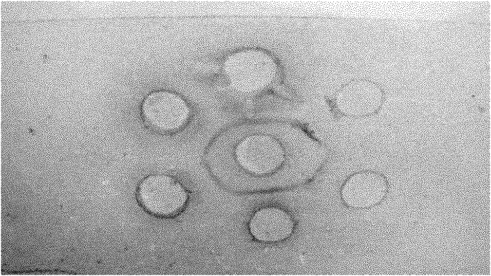 Method for proliferating avian influenza viruses in bioreactor with cell carrier