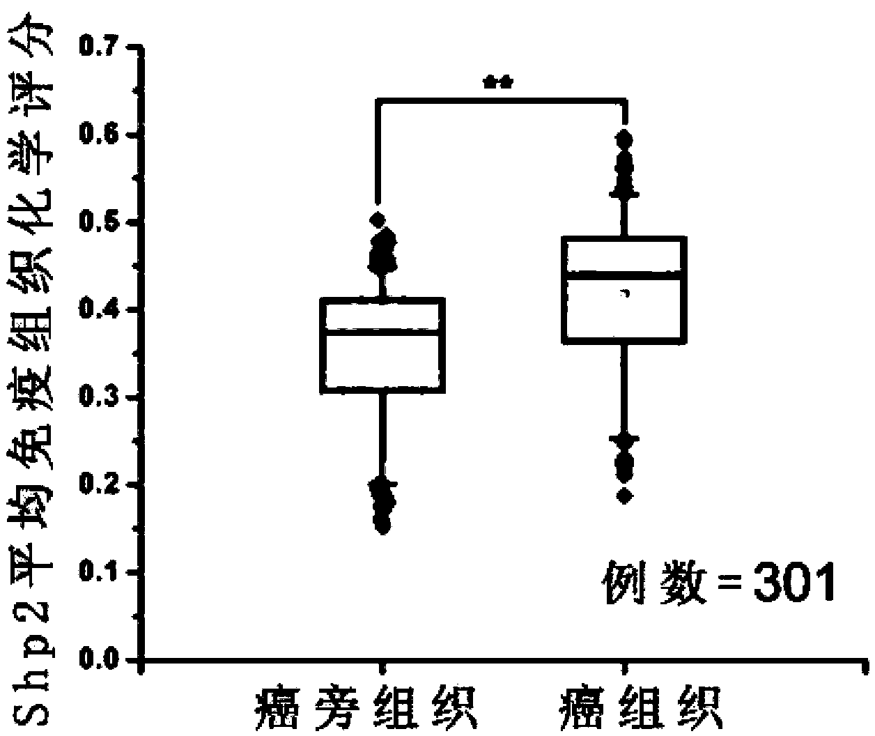 Application of Shp2 protein in preparation of liver cancer prognosis evaluation kit