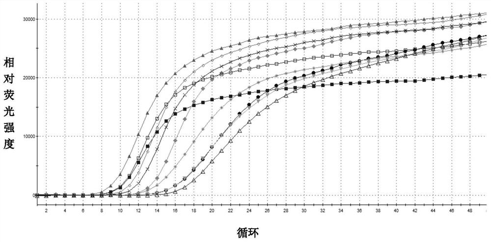 Real-time fluorescent nucleic acid isothermal amplification detection kit for Mycobacterium tuberculosis and its special primers and probes