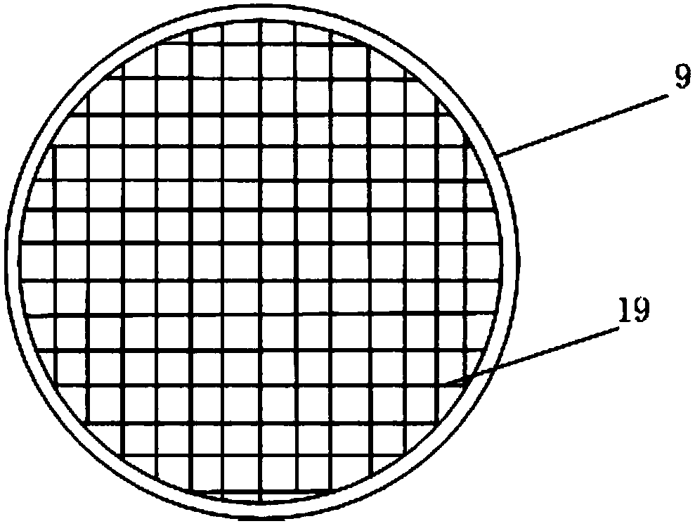 Extracting mortar for molecular biology test and extracting method thereof