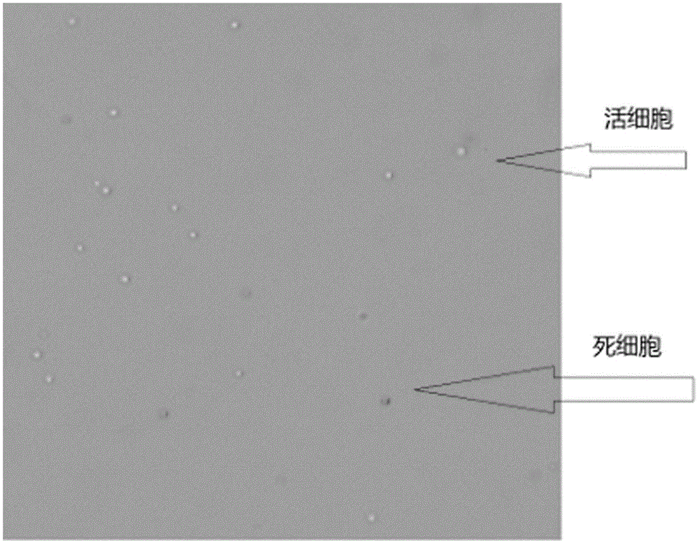 Full-automatic cell non-staining image recognizing and counting method