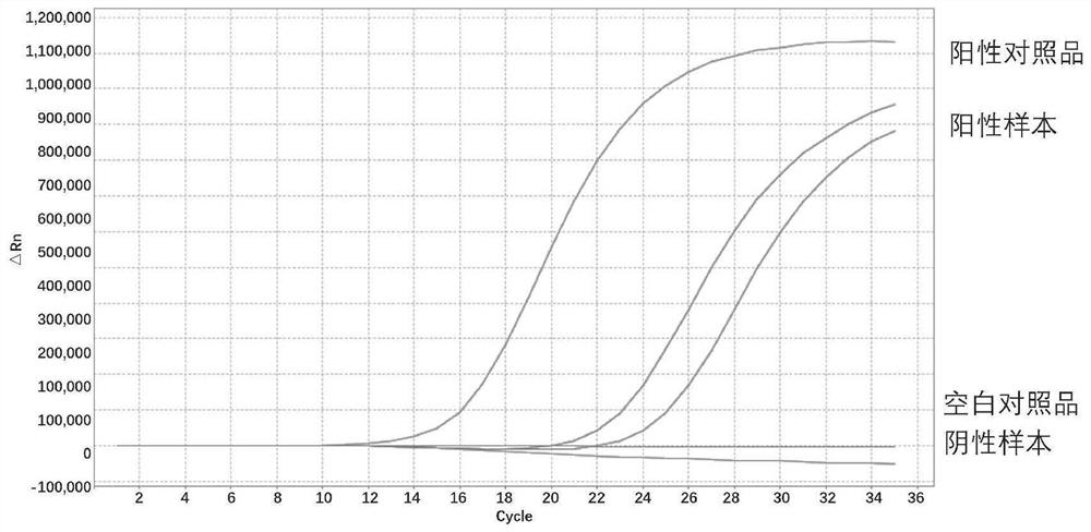 Biomarker for thyroid nodule benign and malignant discrimination, multi-gene joint detection kit and application