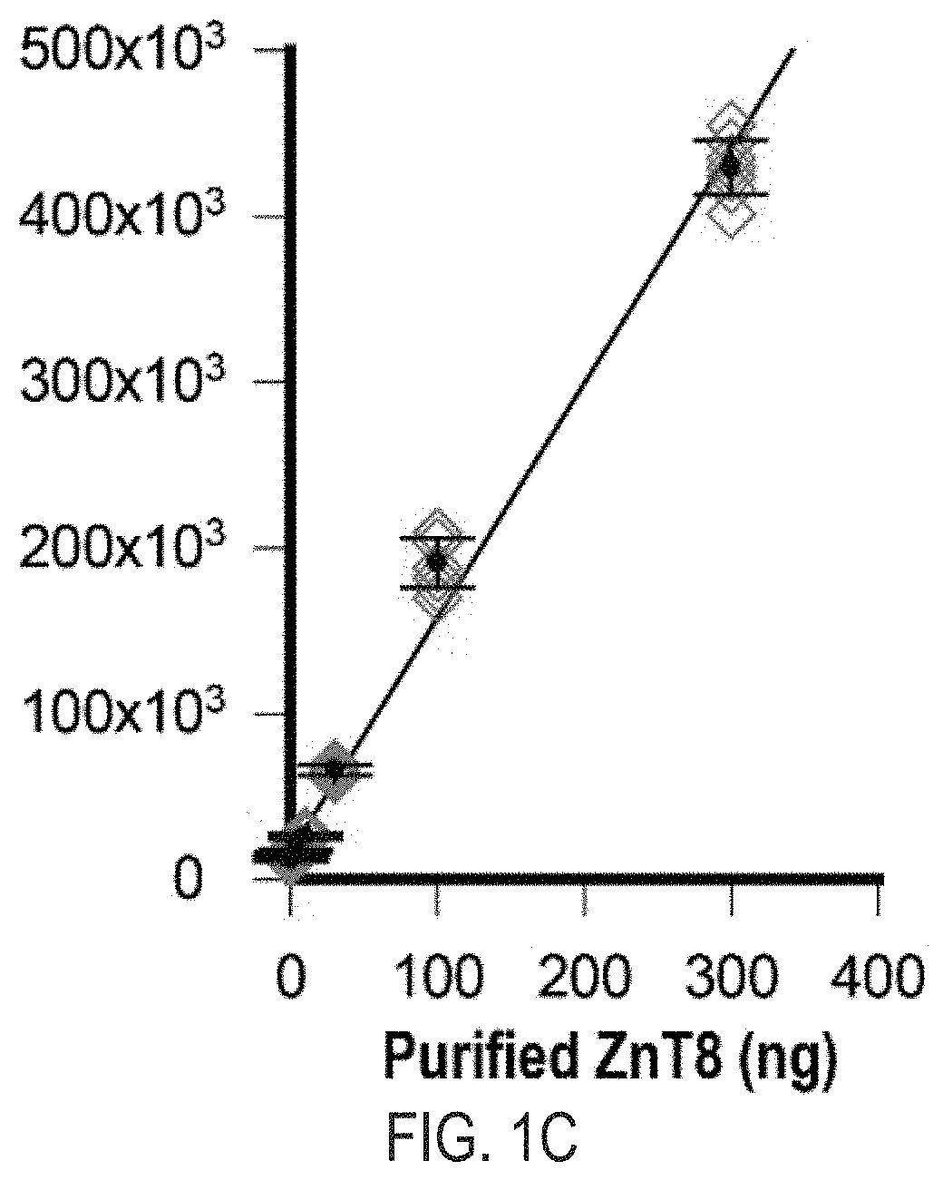 Cell-based znt8 assay