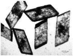 Pyraclostrobin crystal form and preparation method thereof