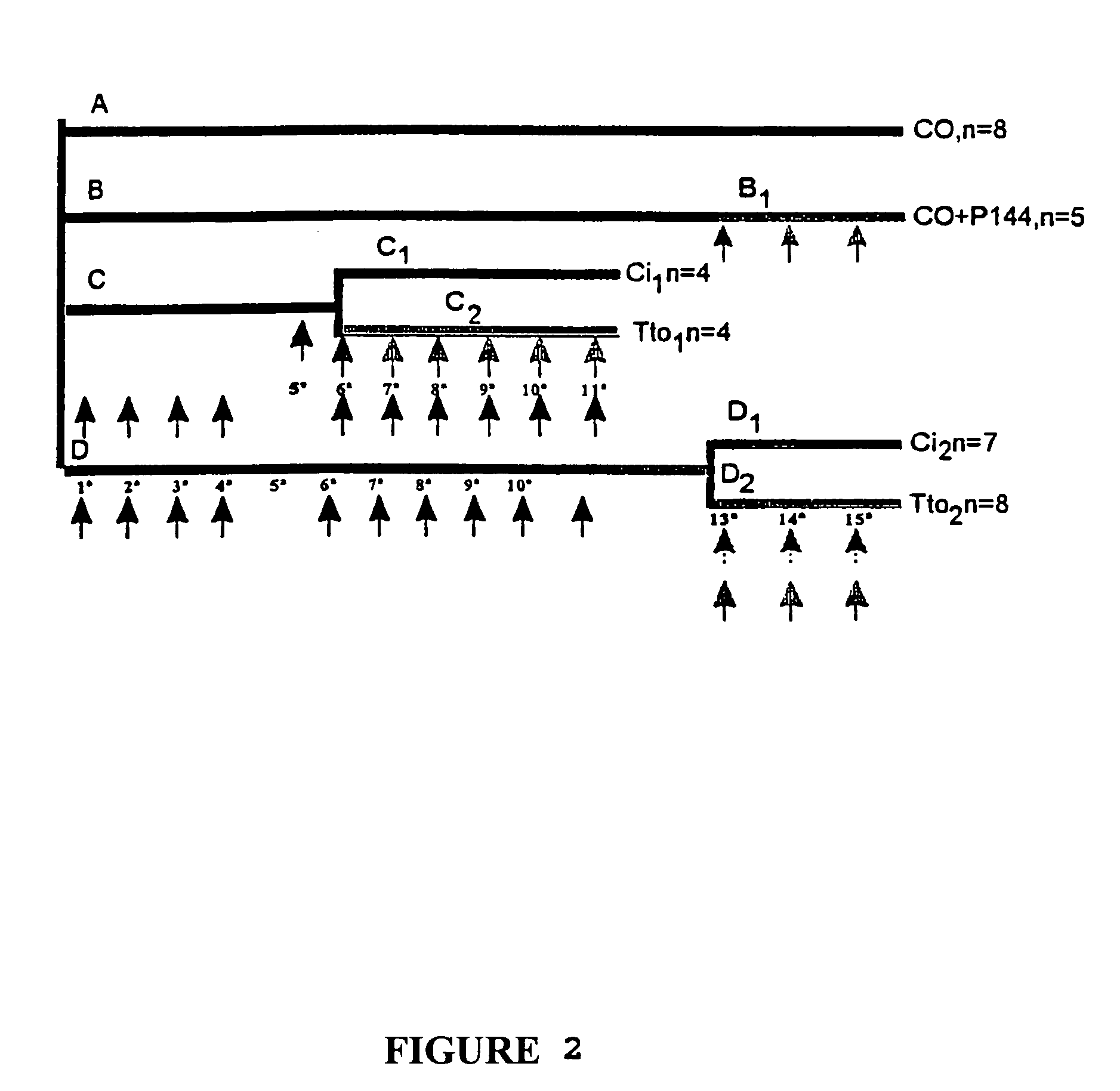 TGFβ1 inhibitor peptides