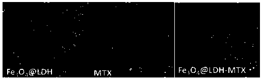 A pH-sensitive fe3o4@ldh-loaded nano drug particle of methotrexate, its preparation method and its application