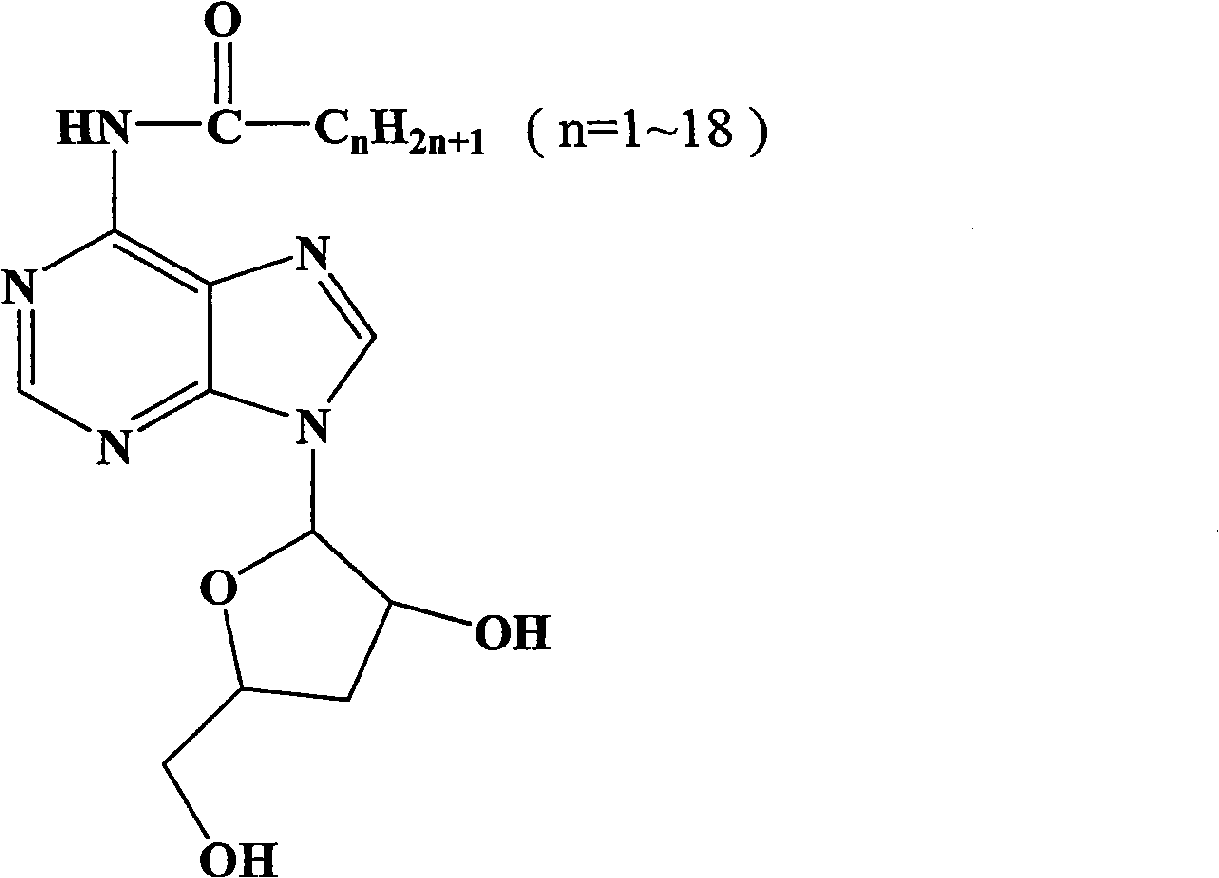 Application of N-alkanoyl cordycepin in preparing drugs for treating tumor diseases