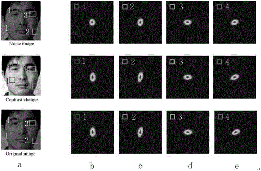 Object identification method based on context information propagation local regression kernel