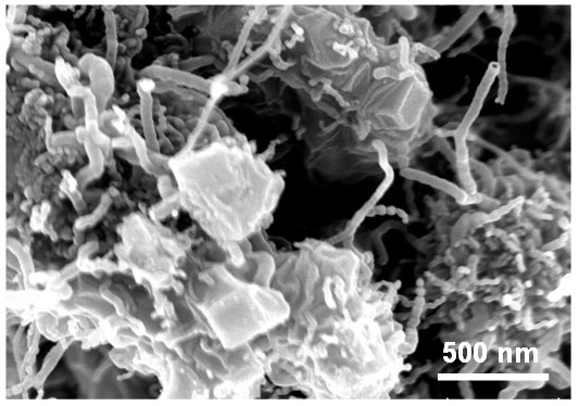 Preparation method and application of Zn/Co-N-C carbon nanotube oxygen reduction catalyst for autocatalytic growth