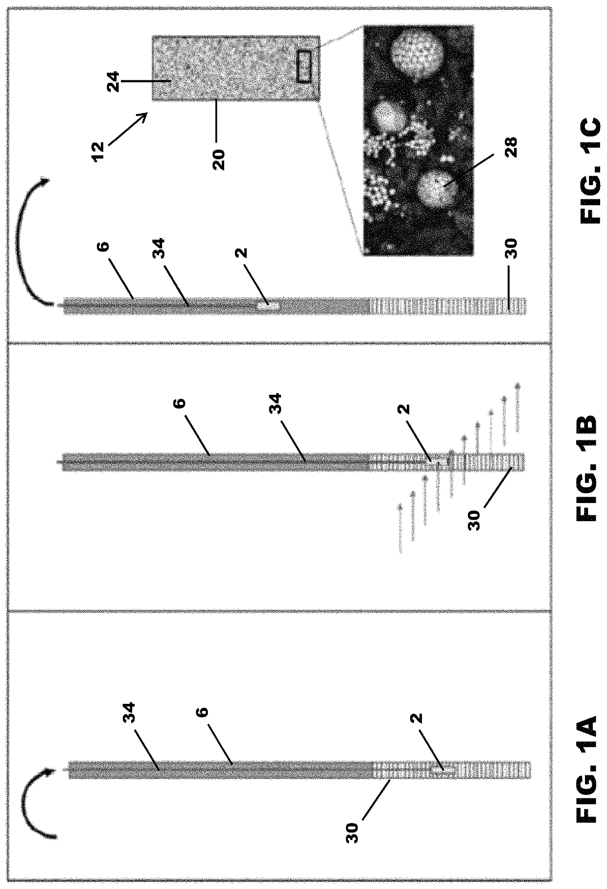 In-situ device for collecting minerals