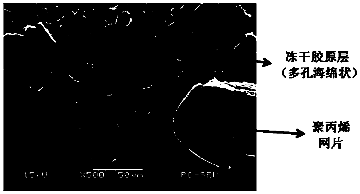 A kind of biological patch and preparation method