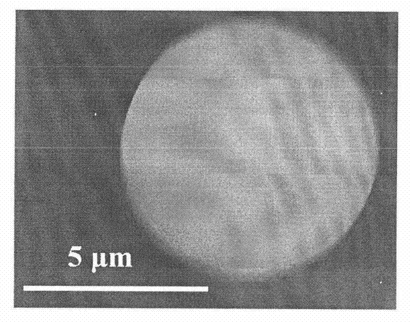 Hybrid ordered mesoporous silica gel chromatograph stationary-phase stuffing and preparation method thereof