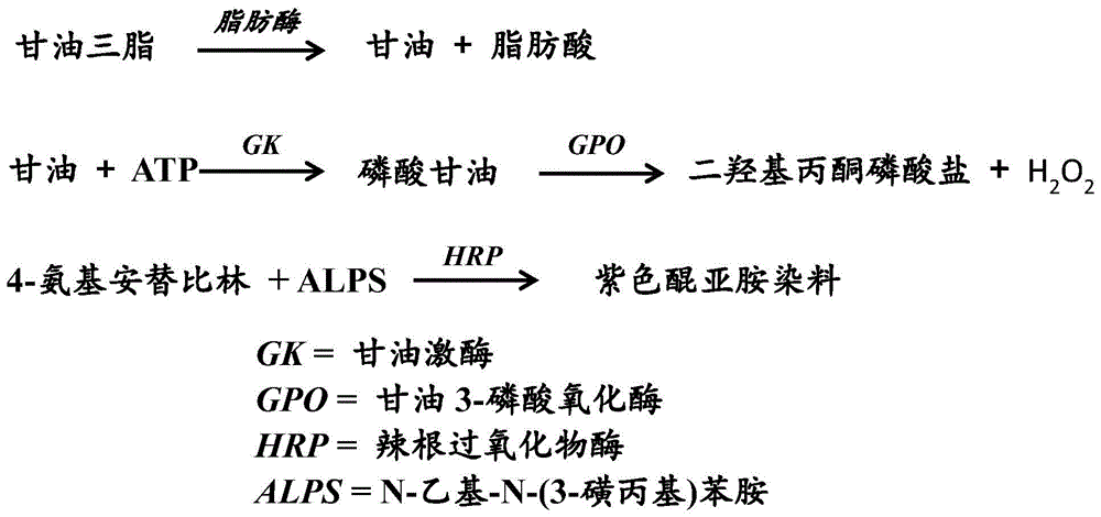 Rapid, low-sample-volume cholesterol and triglyceride assays