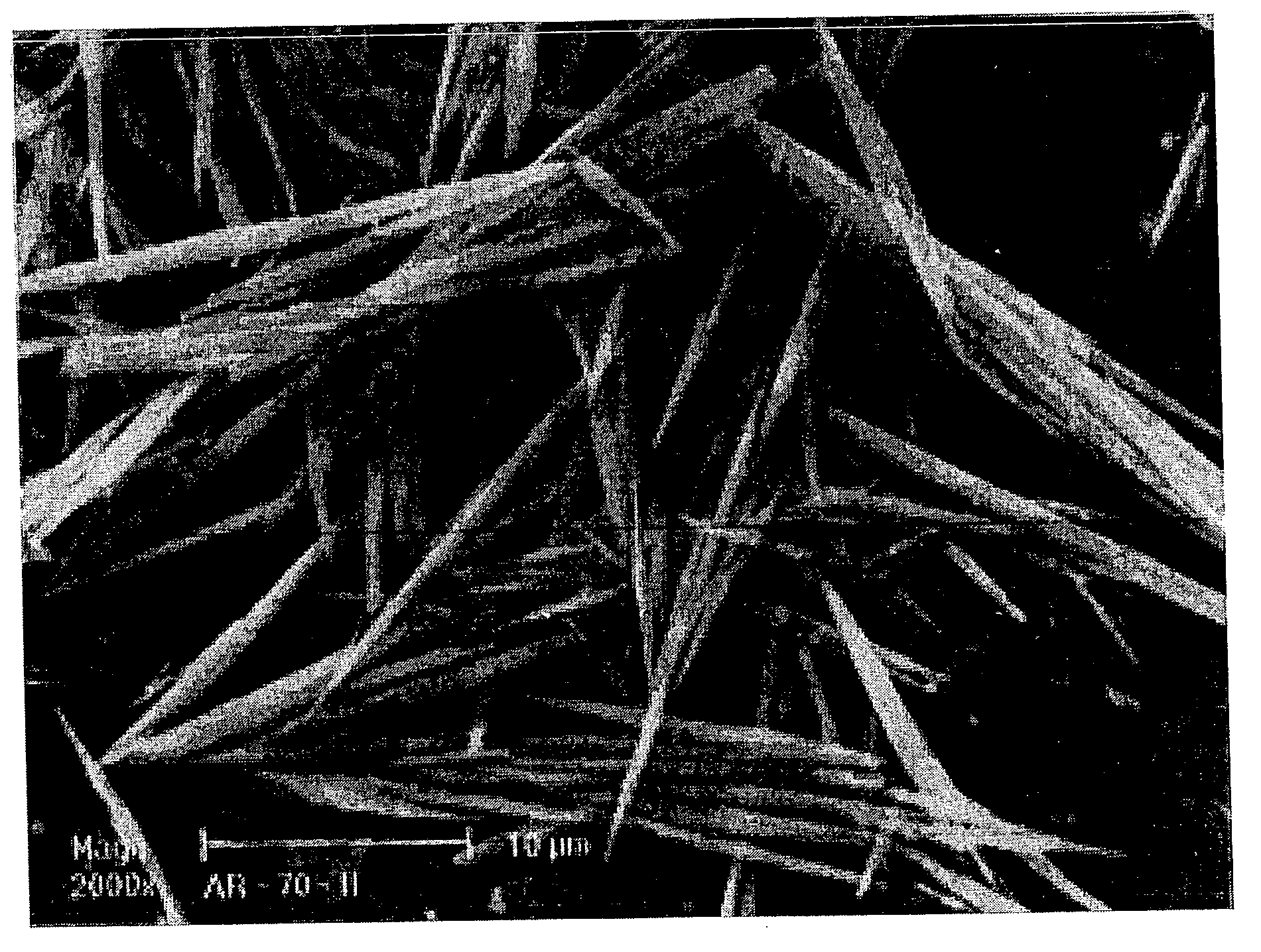 Precipitated aragonite and a process for producing it