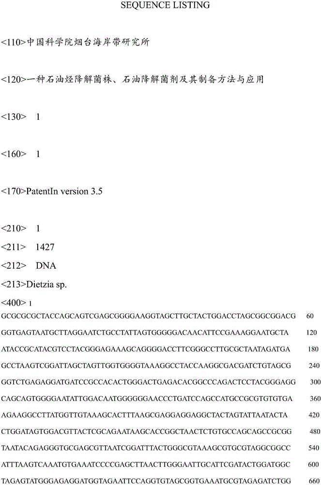 Petroleum hydrocarbon degrading strain, petroleum hydrocarbon degrading microbial agent, as well as preparation method and applications of petroleum hydrocarbon degrading microbial agent