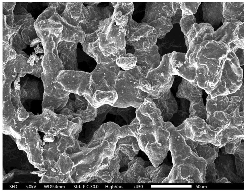 A kind of amidated graphene airgel and its preparation method and application