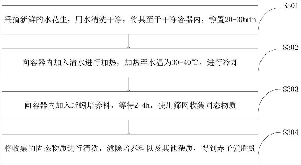 Method for detecting ecotoxicity of heavy metal contaminated soil by utilizing luminous earthworms