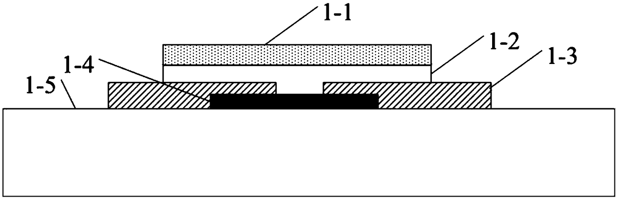 Flexible ion sensor based on tungsten diselenide