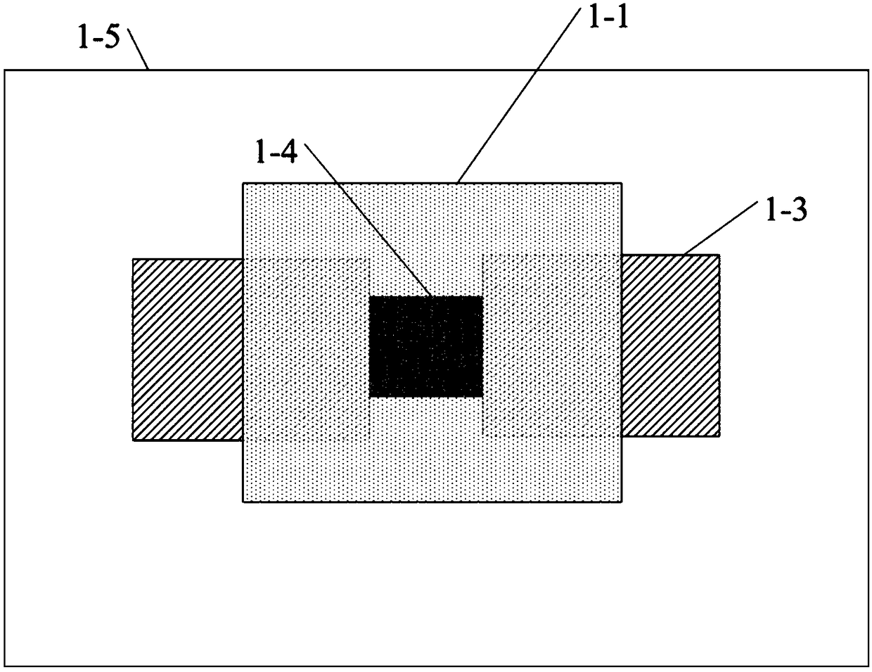 Flexible ion sensor based on tungsten diselenide