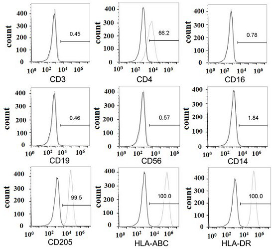 DC cells and CTL cells loaded with tax antigen and their preparation method and application