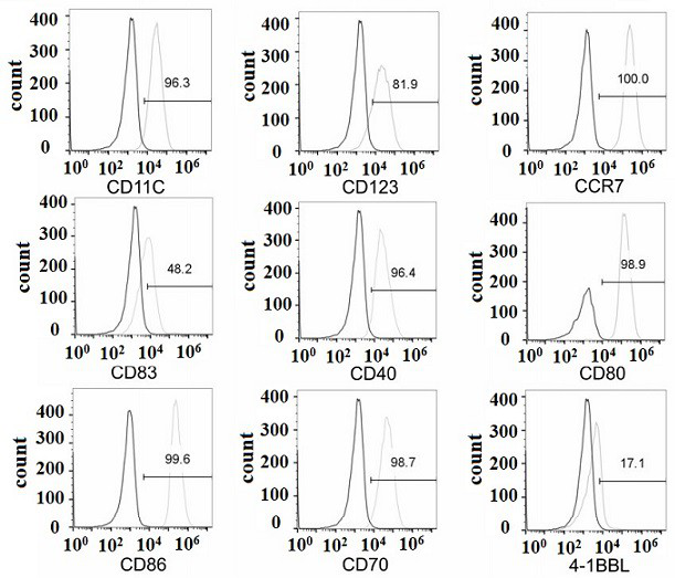 DC cells and CTL cells loaded with tax antigen and their preparation method and application