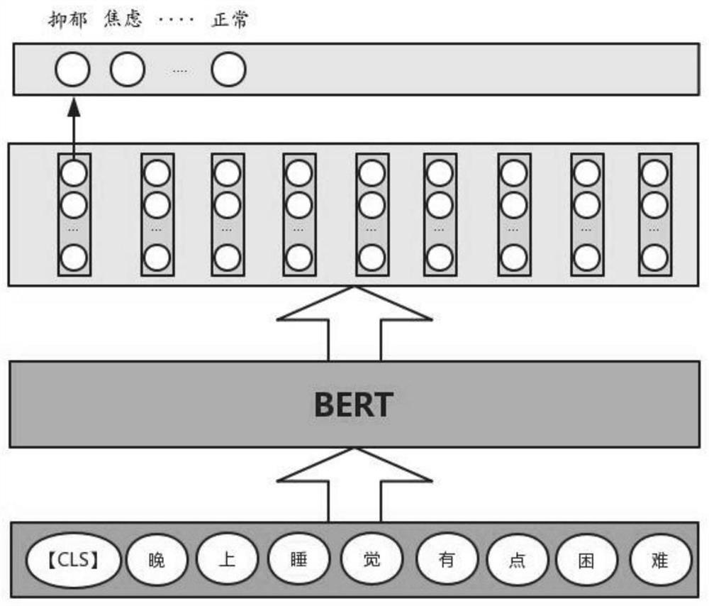 Psychiatry auxiliary diagnosis system