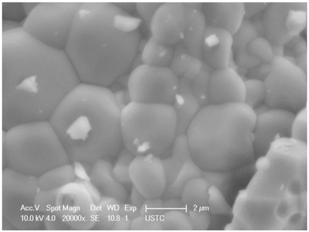 Negative composite material for lithium-ion battery and preparation method of negative composite material