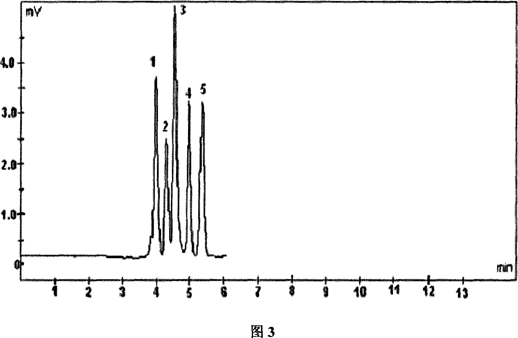 Formula of raw material of reversed phase ion exchange electrochromatography column, and preparation method