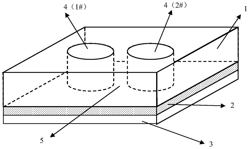 A method for rapid detection of microbial drug resistance and a dedicated microfluidic chip