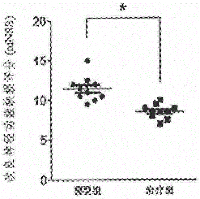 Application of domperidone in preparation of therapeutics for cerebral ischemia-reperfusion injury