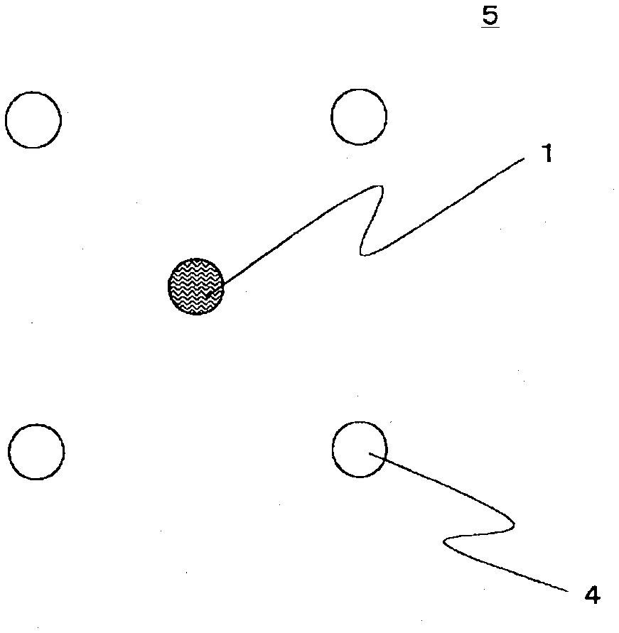 Composite nozzle and method for producing composite fiber