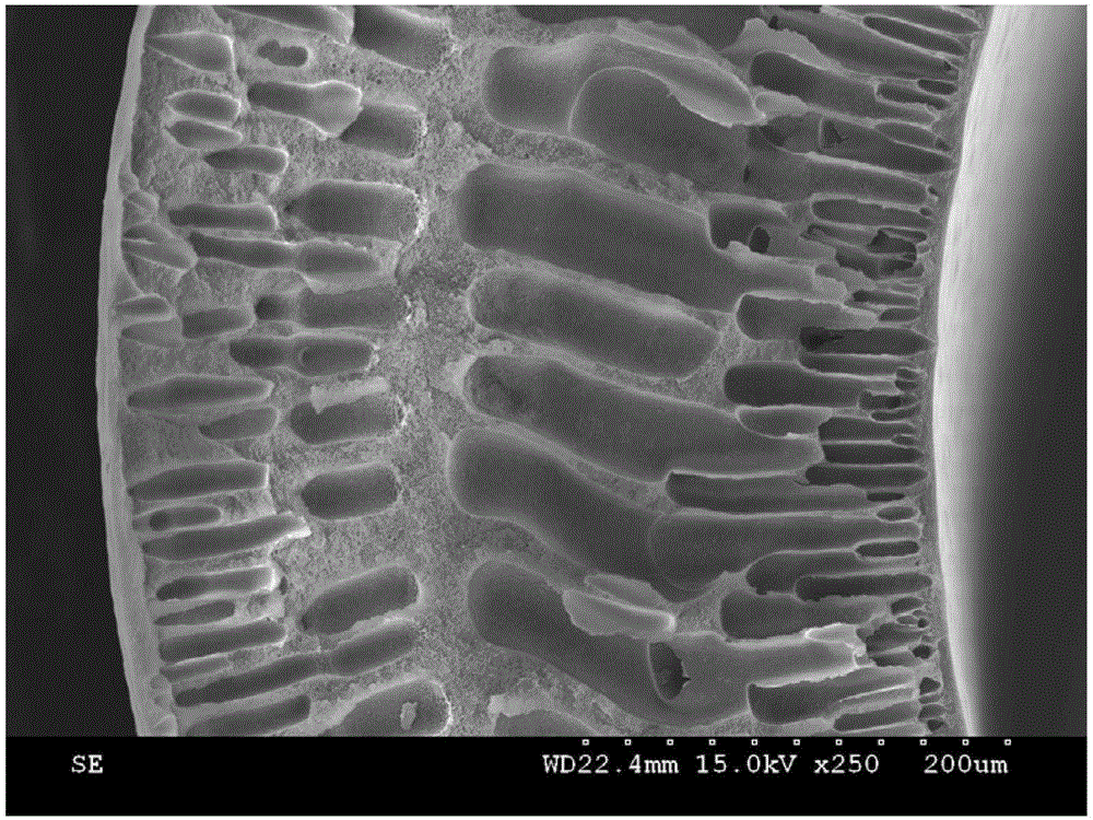 A method for preparing polymer hollow fiber porous membrane by chemical reaction-induced phase inversion